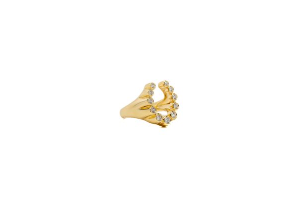 , Horseshoe Ring with Diamonds